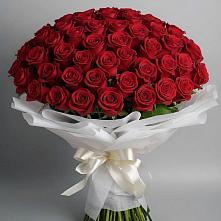 Букет 101 Красная роза Блэк Мэджик в Головково