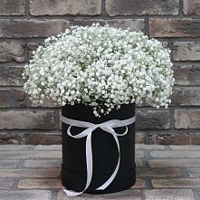 Цветочная композиция из Гипсофила в шляпной коробке #REPLACE_PRED# Головково