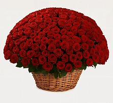 Премиум букет из: Розы в Головково